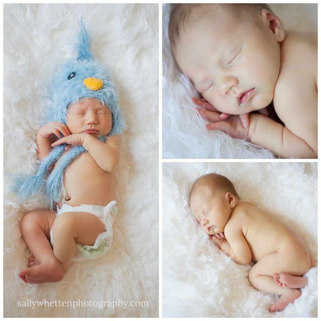 Arizona baby photographer, Sally Whetten Photography, newborn photographer, arizona family photographer 