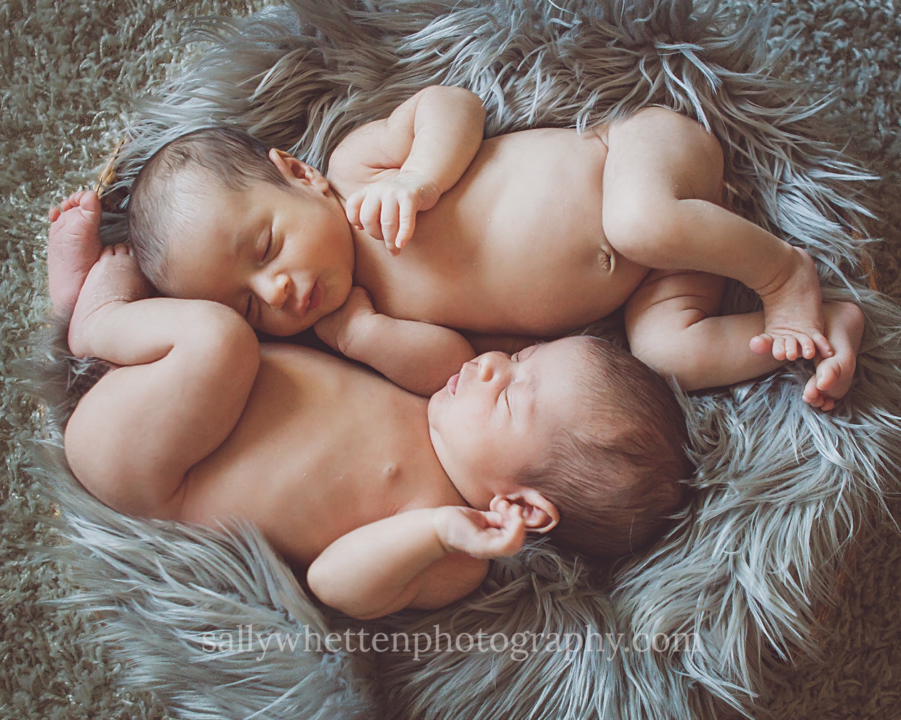 twin newborn boys curled up together on a gray fur rug